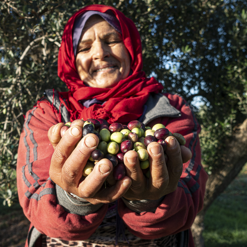 Femmes et olives portrait Moulins mahjoub