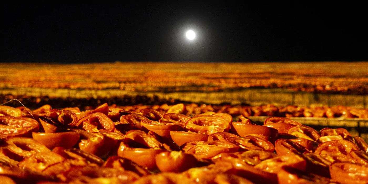 Photo tomates et lune