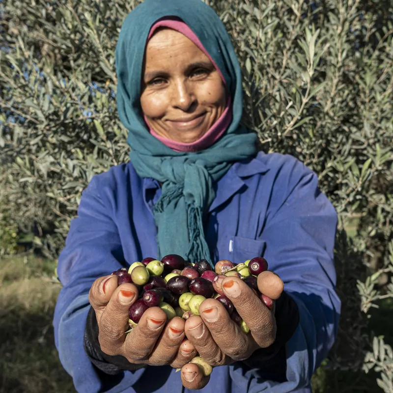Femmes et olives portrait Moulins mahjoub