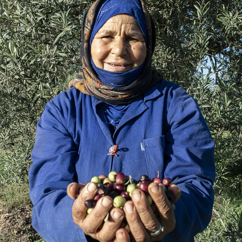 Femmes et olives portrait Moulins mahjoub