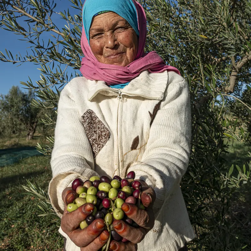 Femmes et olives portrait Moulins mahjoub