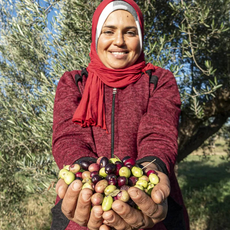 Femmes et olives portrait Moulins mahjoub
